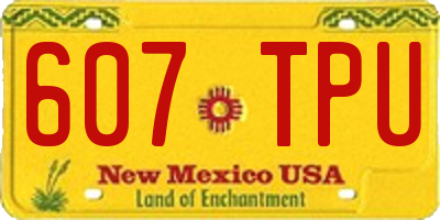 NM license plate 607TPU