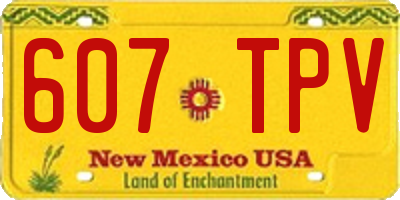 NM license plate 607TPV