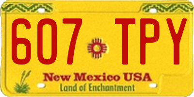NM license plate 607TPY