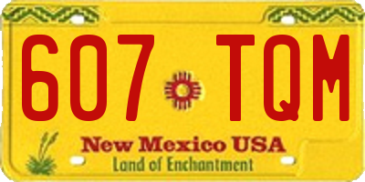 NM license plate 607TQM