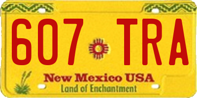 NM license plate 607TRA