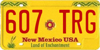 NM license plate 607TRG