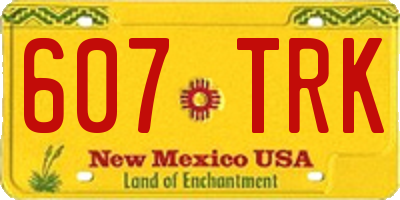 NM license plate 607TRK