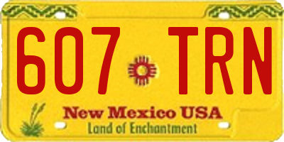 NM license plate 607TRN