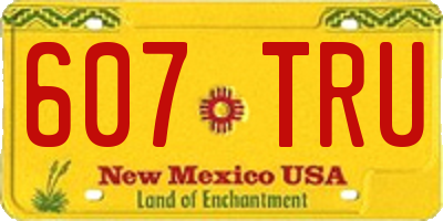 NM license plate 607TRU
