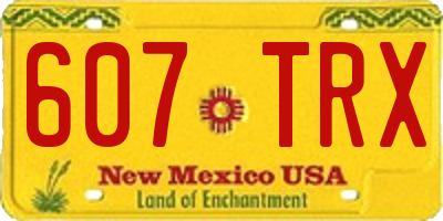 NM license plate 607TRX