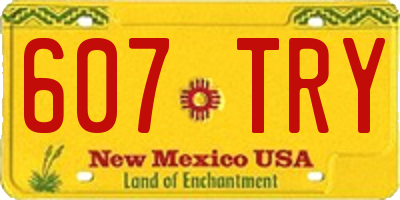 NM license plate 607TRY