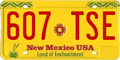 NM license plate 607TSE