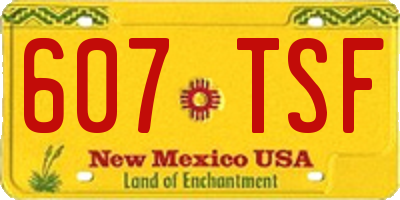 NM license plate 607TSF