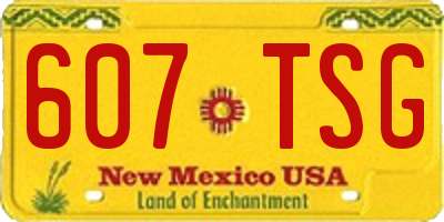 NM license plate 607TSG