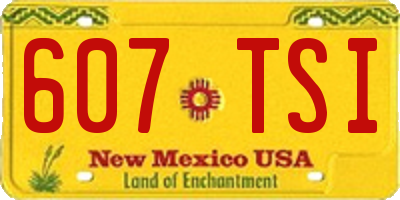 NM license plate 607TSI