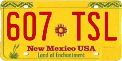 NM license plate 607TSL