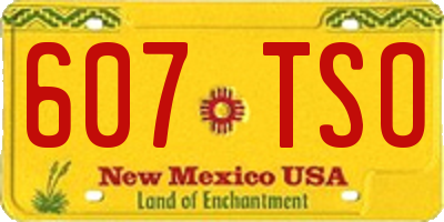 NM license plate 607TSO