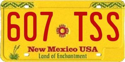 NM license plate 607TSS