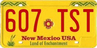 NM license plate 607TST