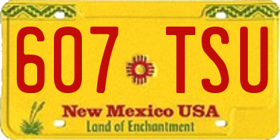 NM license plate 607TSU
