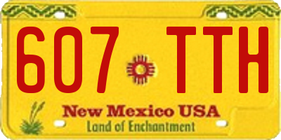 NM license plate 607TTH