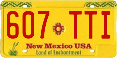 NM license plate 607TTI