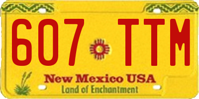 NM license plate 607TTM