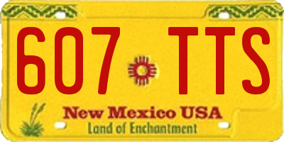 NM license plate 607TTS