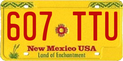NM license plate 607TTU