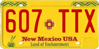 NM license plate 607TTX
