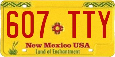 NM license plate 607TTY