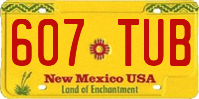 NM license plate 607TUB