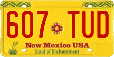 NM license plate 607TUD