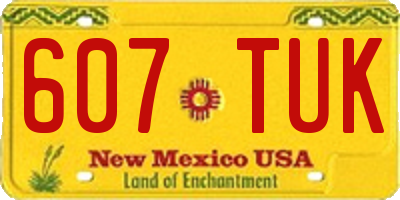 NM license plate 607TUK