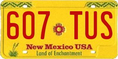NM license plate 607TUS
