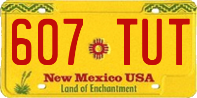 NM license plate 607TUT