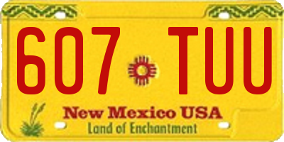 NM license plate 607TUU