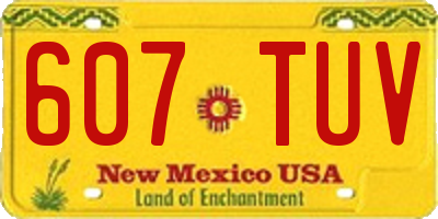 NM license plate 607TUV