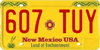NM license plate 607TUY