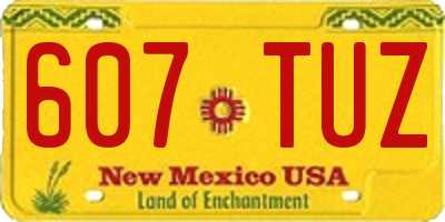NM license plate 607TUZ