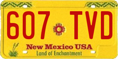 NM license plate 607TVD