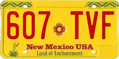 NM license plate 607TVF