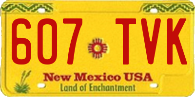 NM license plate 607TVK