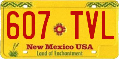 NM license plate 607TVL