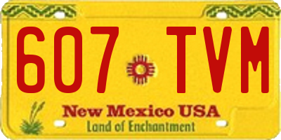 NM license plate 607TVM