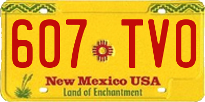 NM license plate 607TVO
