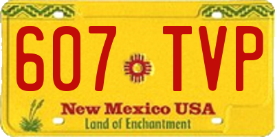 NM license plate 607TVP