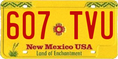 NM license plate 607TVU