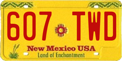 NM license plate 607TWD