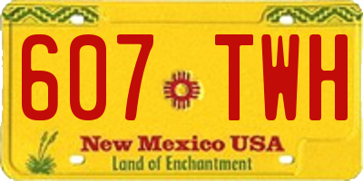 NM license plate 607TWH