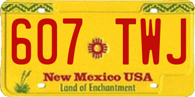 NM license plate 607TWJ