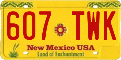 NM license plate 607TWK