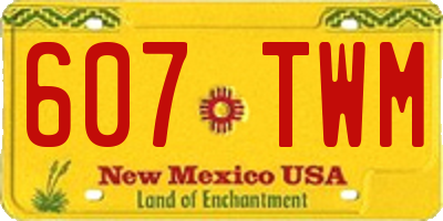 NM license plate 607TWM