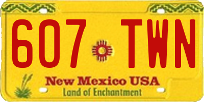 NM license plate 607TWN